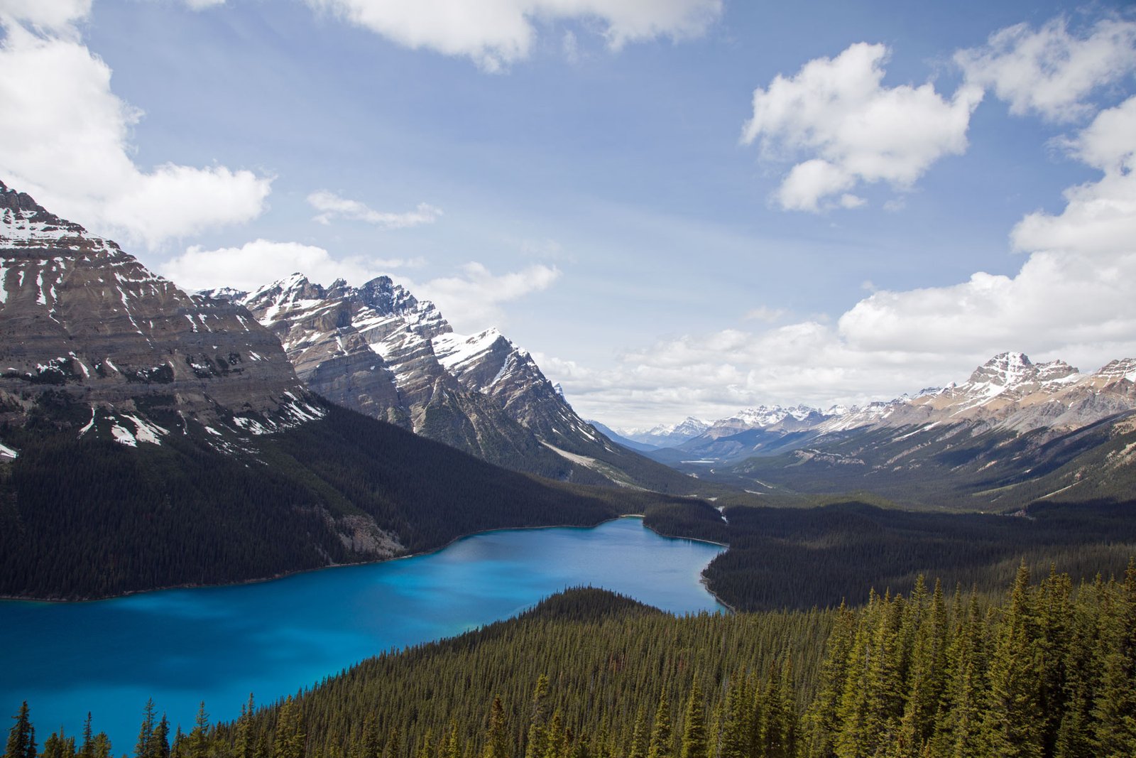 Bow Lake Lookout