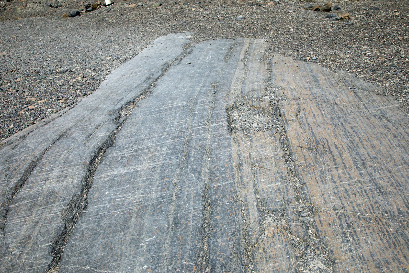 Glacier scratches on rock