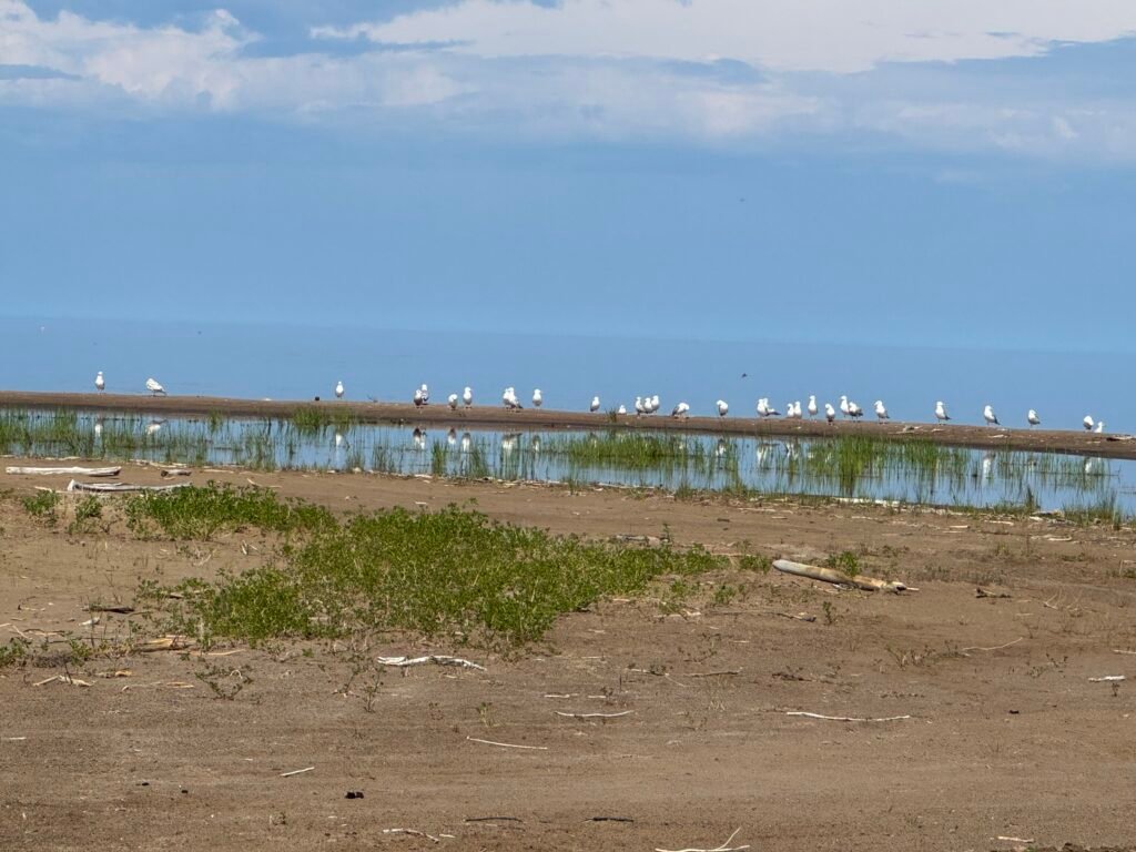On the shore of The Great Slave Lake