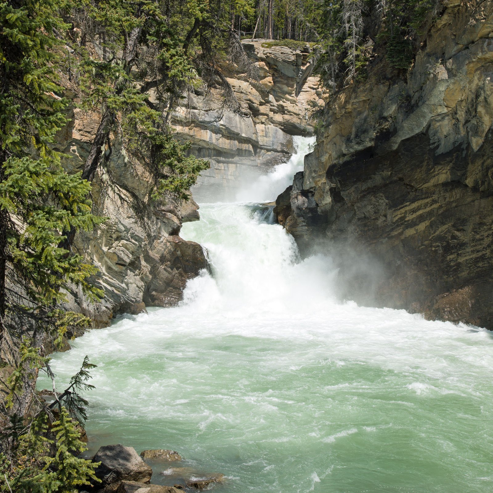 Lower Sunwapta Falls