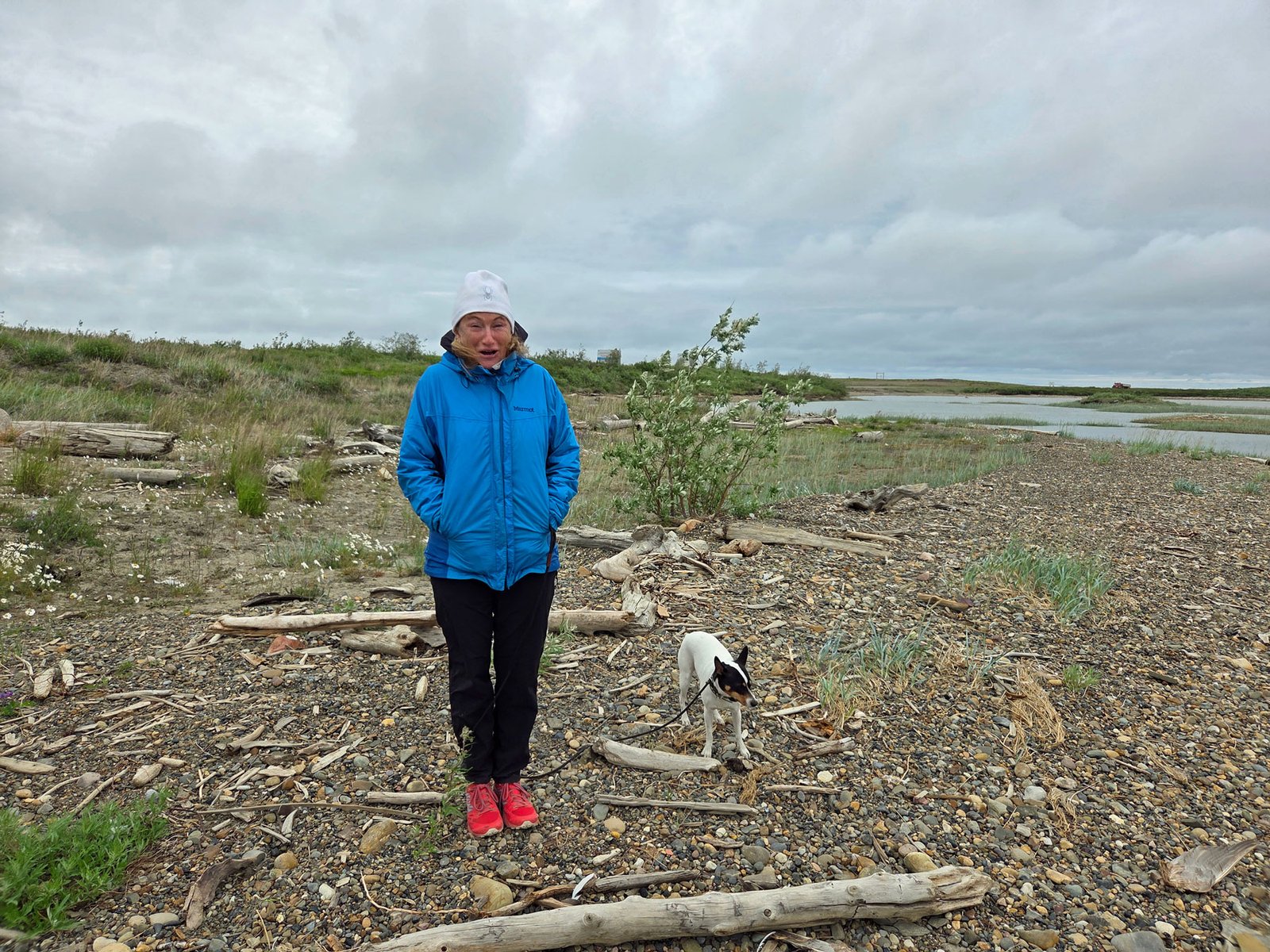 40 degrees and windy at the Pingos