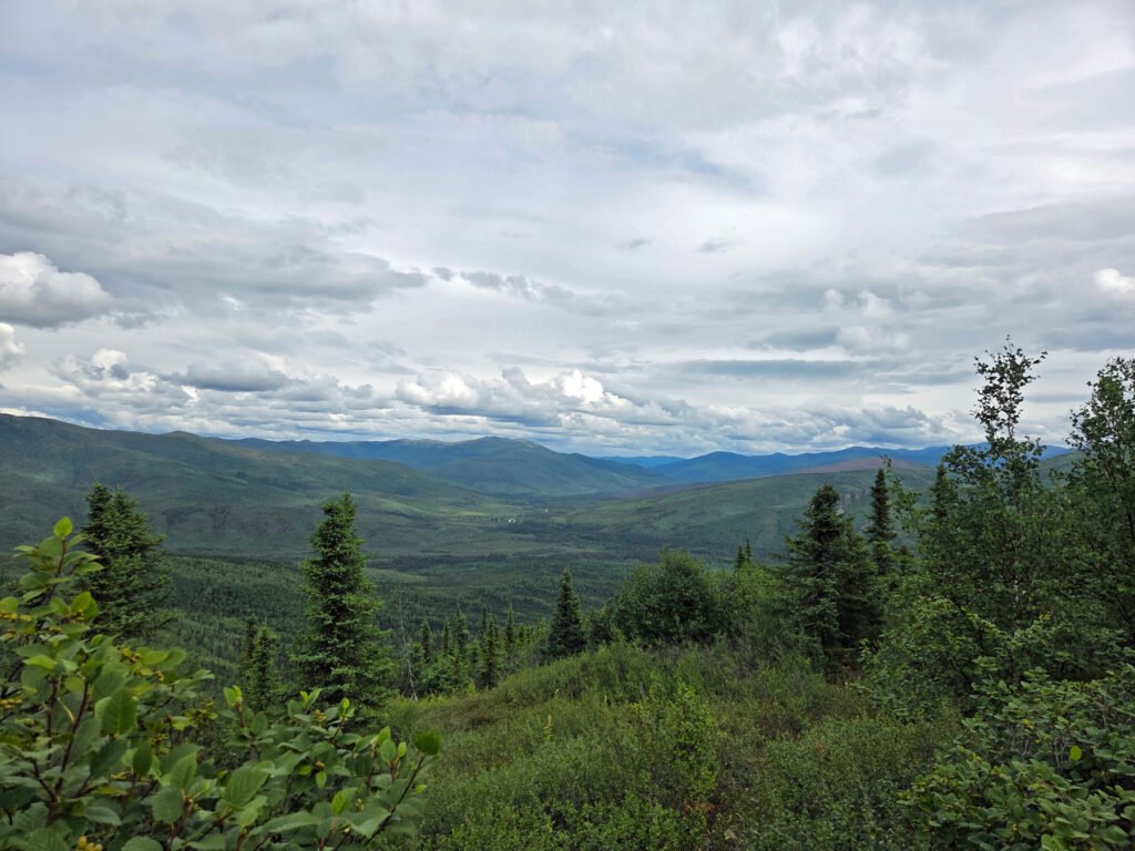 Chena-River-Valley-20250725_131903 Chena River Valley from the lower Chena Dome trail