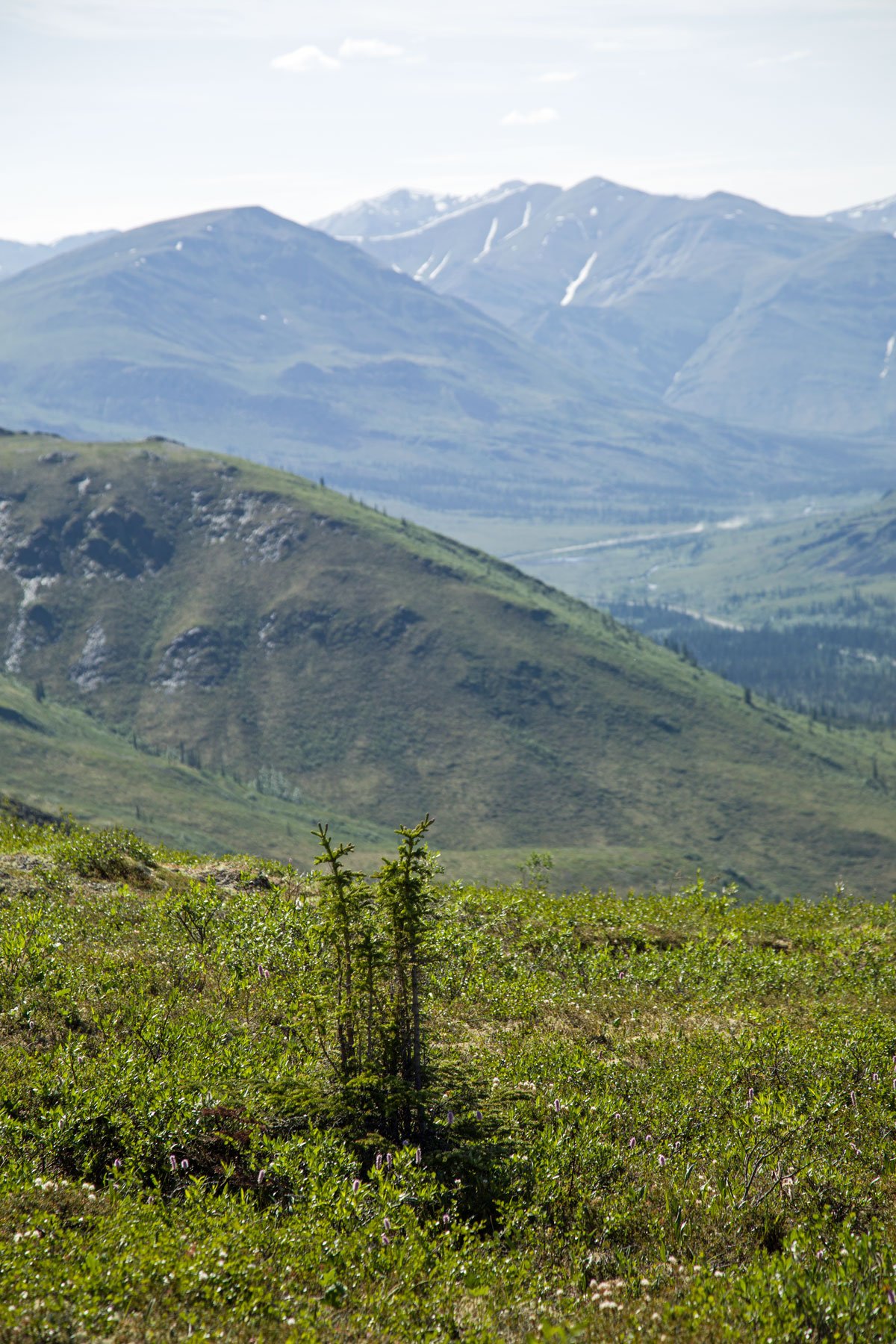 Dempster Highway South from Goldensides Mountain