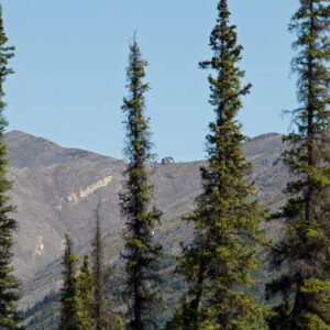 Elephant Rock on the Dempster Highway