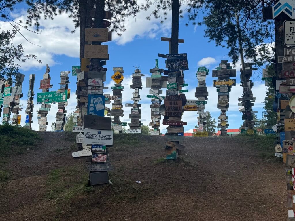 Signpost Forest