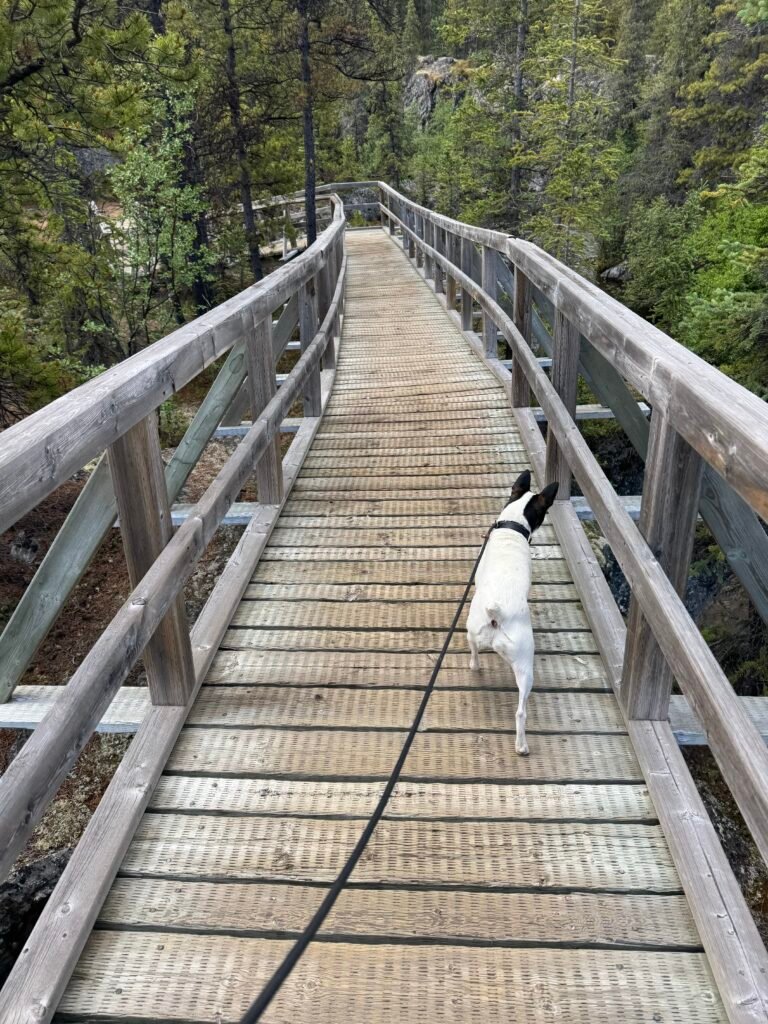 Maddie on the boardwalk trail to Rancheria Falls