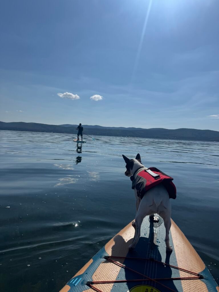 Paddling on Lake Harding