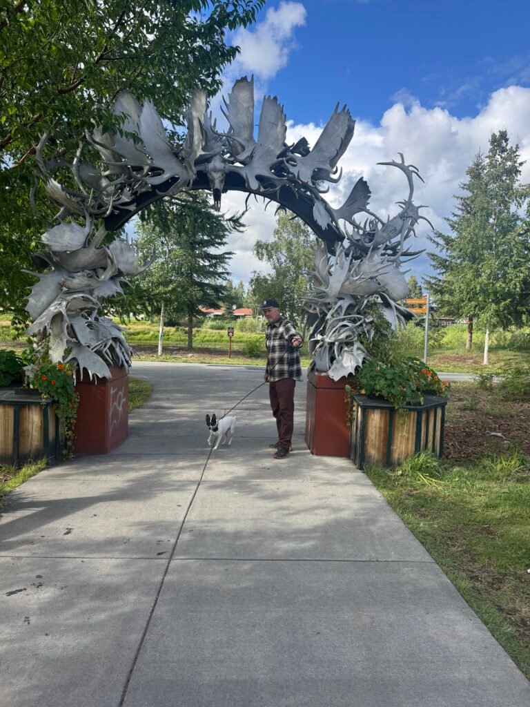 Under the Antler Arch