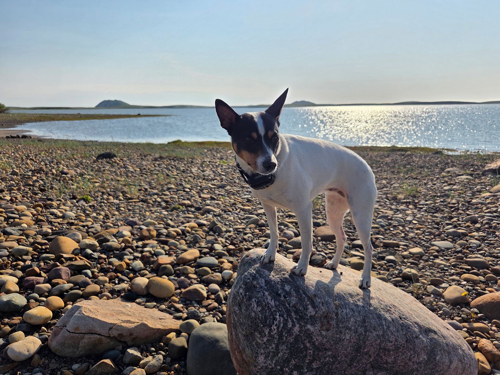 Maddie in "place" at the Pingos