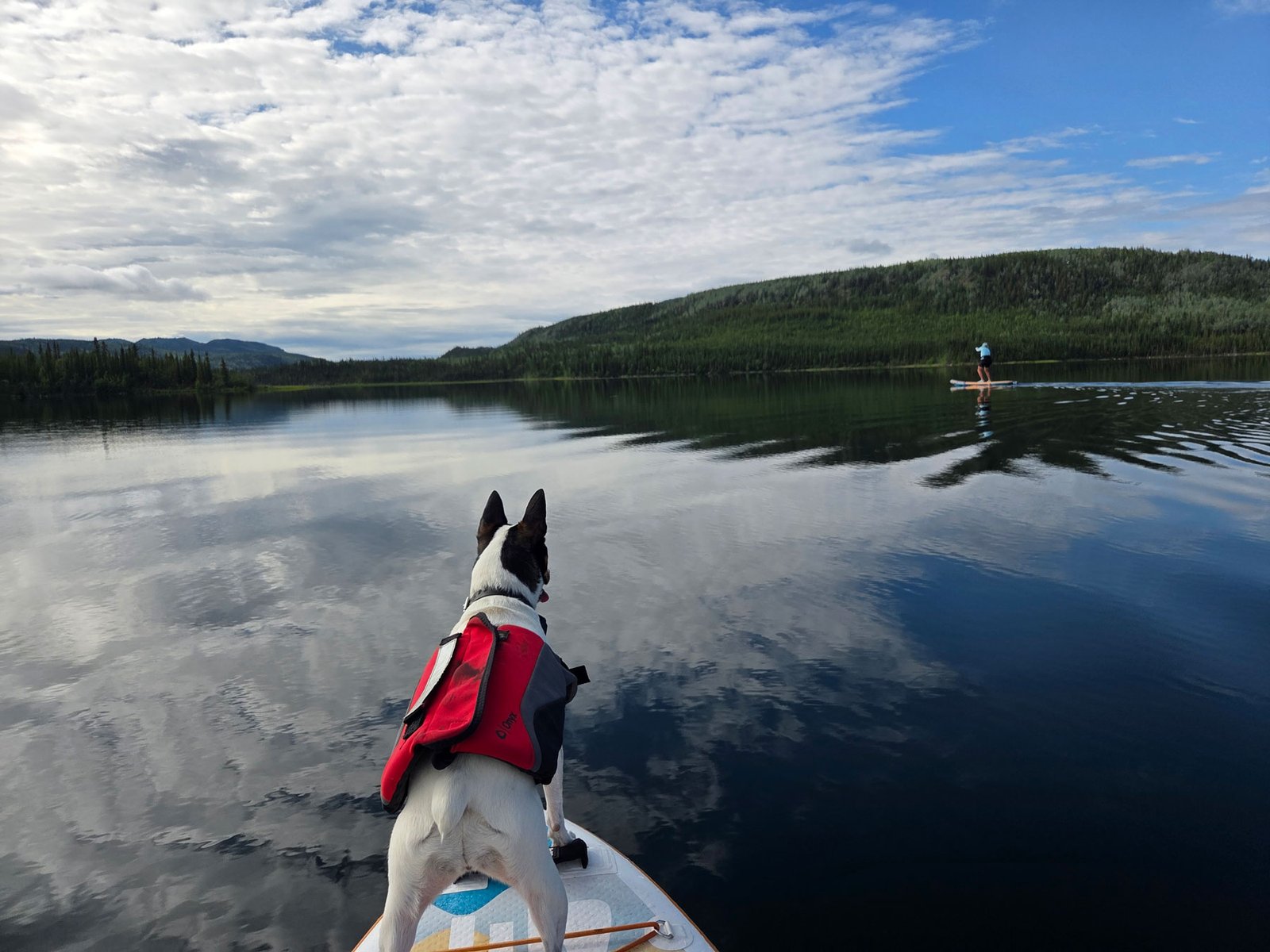 Twin Lakes - Come on Dad, go faster!