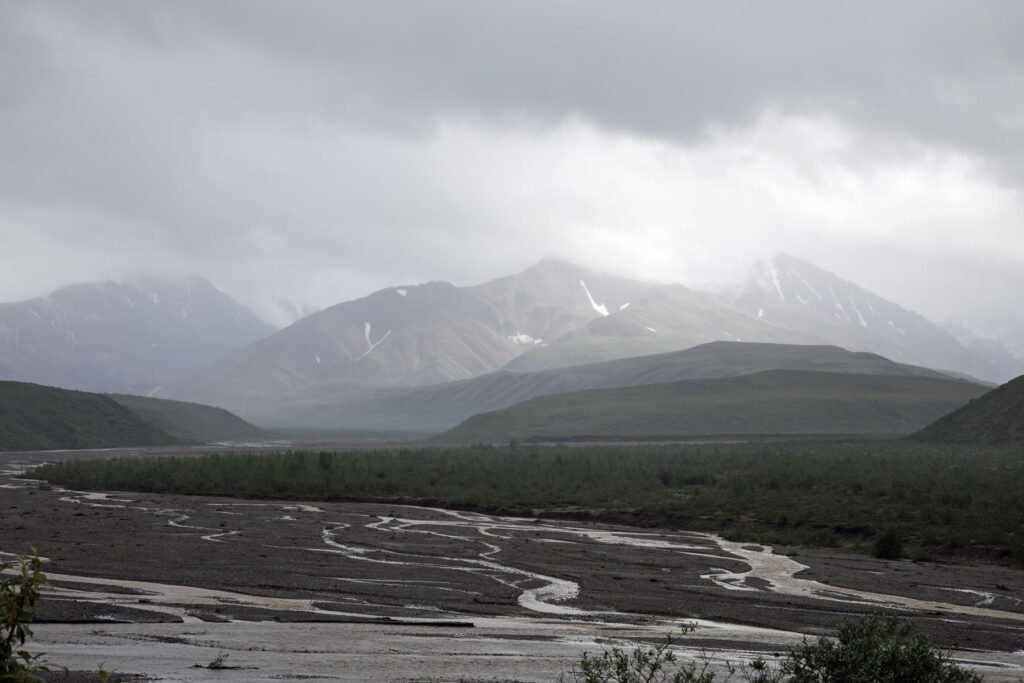 A rainy day at the East Fork River in Denali NP