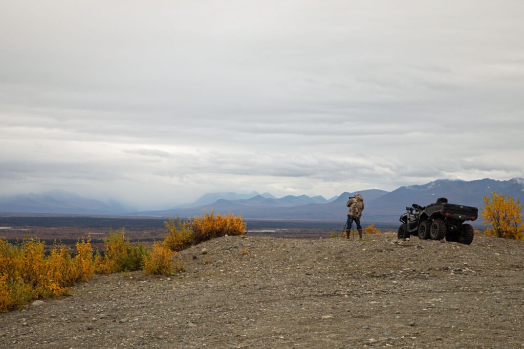 Bill looks for his moose